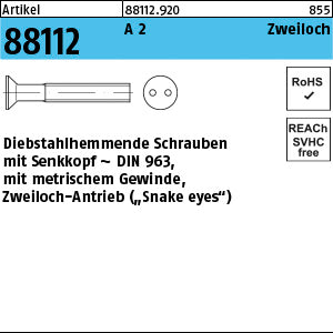 SicherheitsSchrauben(D963)A2 mit Zweiloch - Sicherheitsschrauben(D963)