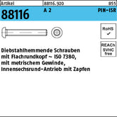 Sicherheits Schrauben (I7380) A2 mit PIN-Innensechsrund T10 - Diebstahlhem.Schrauben
