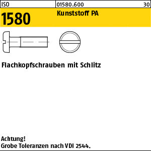 ISO 1580 Kunststoff Polyamid - Flachkopfschrauben