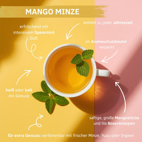 Türkischer Apfeltee - Mango / Minze