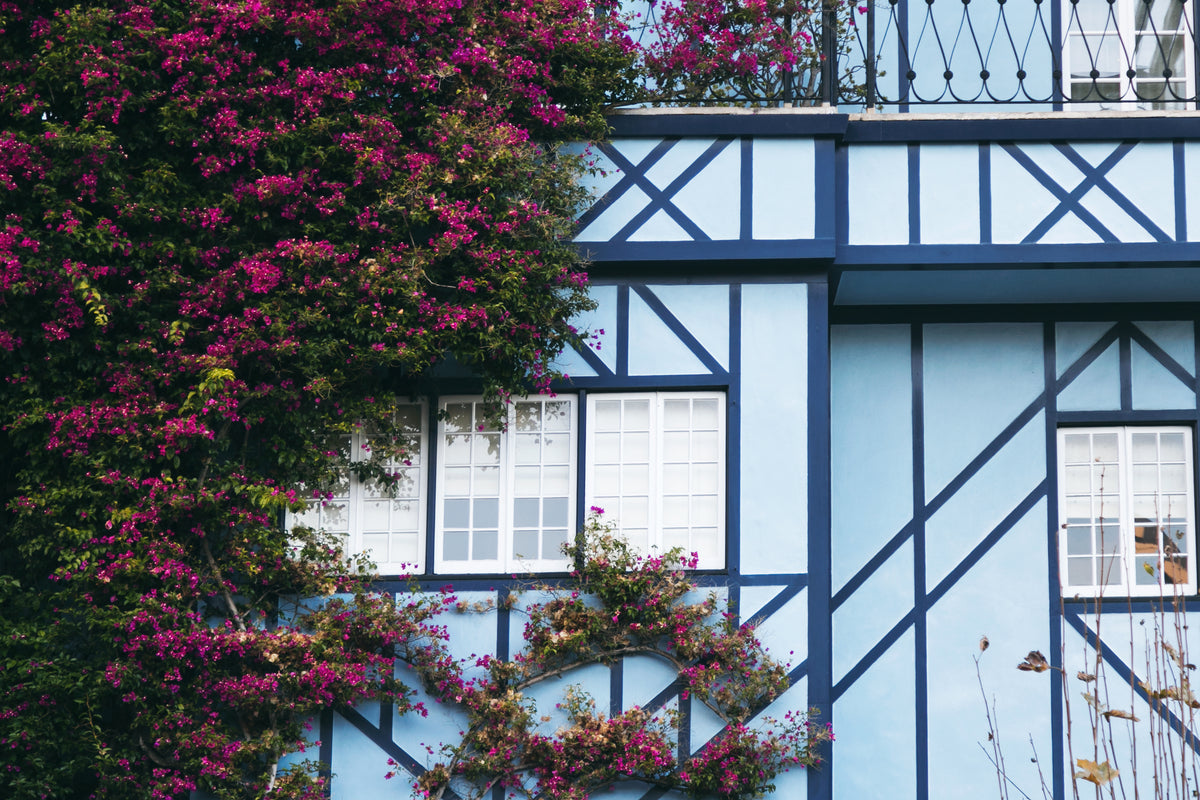 Küstenstreicher Holzlasur - für den Innen- und Aussenbereich in 10 klassischen Farben. Moderne blaugraue Töne, rotbraun und irischgrün auch als deckende Lasur erhältlich!