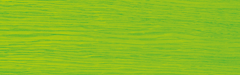 Küstenstreicher Holzlasur - Brighton Beach Farben – lasierend - green