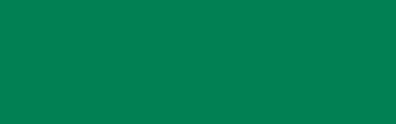 Küstenstreicher Holzlasur - deckend - irischgrün